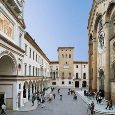Progetto Anatra Crema